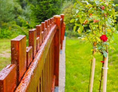 Protect Your Fence from Weathering